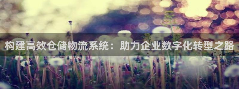 豪门国际相信品牌的力量：构建高效仓储