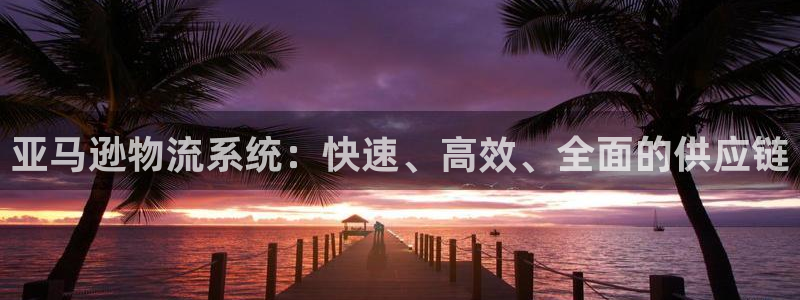 豪门国际稳吗：亚马逊物流系统：快速、