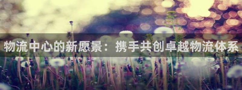 豪门国际黑吗：物流中心的新愿景：携手共创卓越物流体系