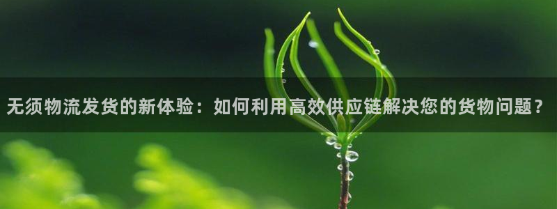 豪门国际是啥