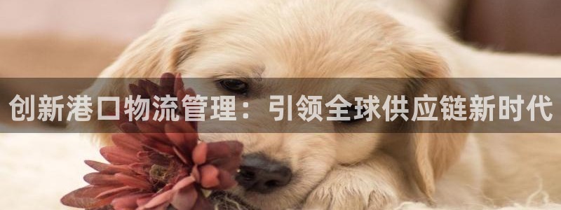 豪门国际大舞台:创新港口物流管理:引