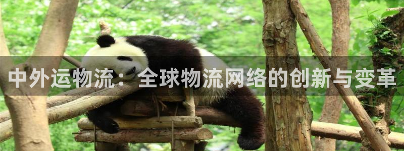 豪门国际充值不处理会怎么样:中外运物