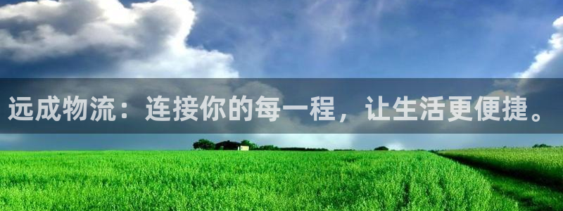 豪门国际哪个最赚钱