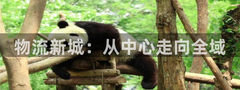 豪门国际二维码：物流新城：从中心走向全域