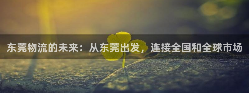 豪门国际官网入口pc正版