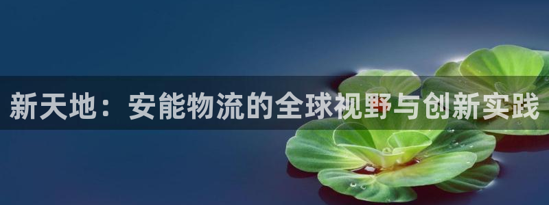 豪门国际官网网站