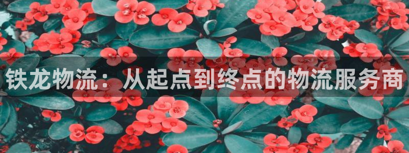 豪门国际赌博软件正规吗：铁龙物流：从