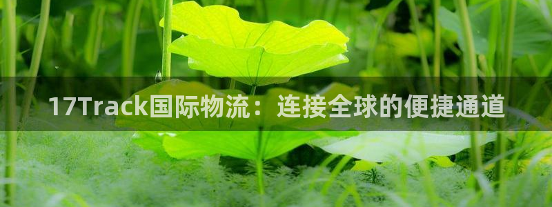 豪门国际pc预测：17Track国际