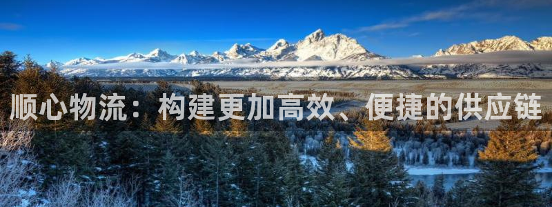 豪门国际可以退款吗：顺心物流：构建更