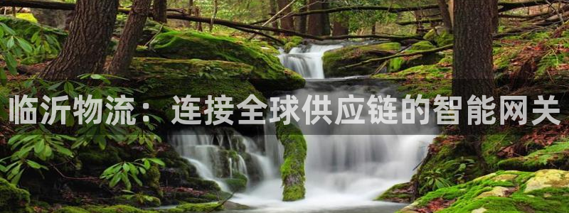 豪门国际加拿大模拟器：临沂物流：连接