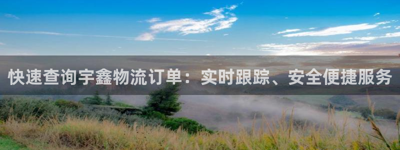 豪门国际头像：快速查询宇鑫物流订单：实时跟踪、安全便捷服务