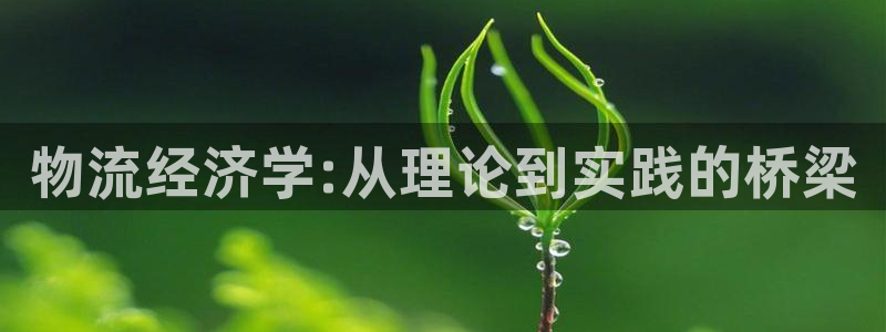 豪门国际ccm游戏：物流经济学:从理