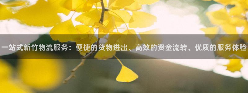 豪门国际：一站式新竹物流服务：便捷的