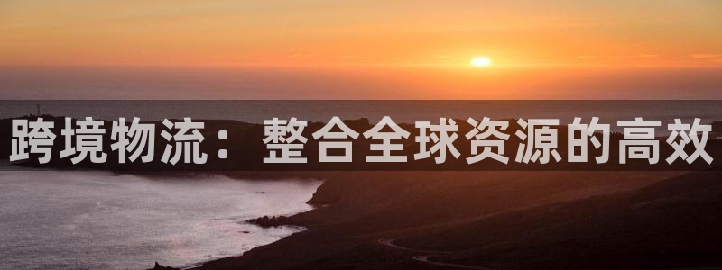 豪门国际cn：跨境物流：整合全球资源