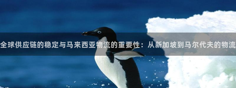 豪门国际登录用户名登录不上：全球供应链的稳定与马来西亚物流的