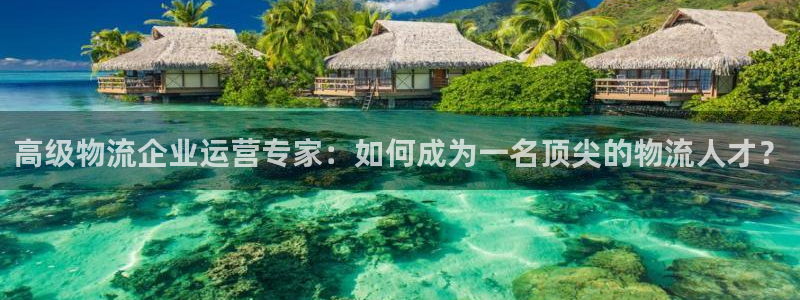 豪门国际农业银行是狗卡吗：高级物流企